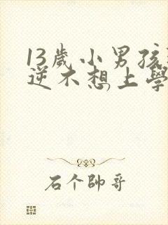 13岁小男孩叛逆不想上学怎么办