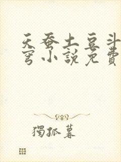 天蚕土豆斗破苍穹小说免费阅读