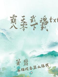 霸天武魂txt八零下载