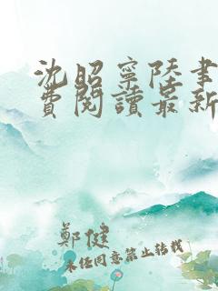 沈昭宁陆聿珩免费阅读最新章节更新
