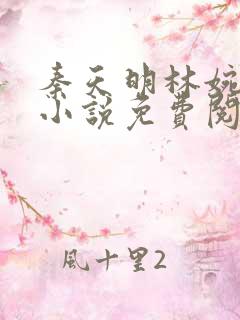 秦天明林婉正版小说免费阅读
