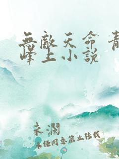 无敌天命 青鸾峰上小说