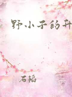 野小子的升官路