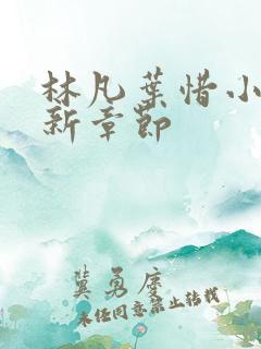 林凡叶惜小说最新章节