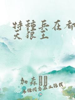 特种兵在都市陈天狼王