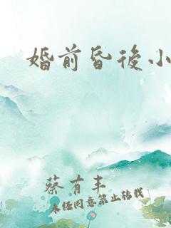 婚前昏后小说