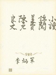 良陈美锦小说全文免费阅读未删减