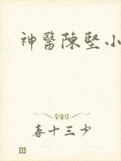 神医陈坚小说