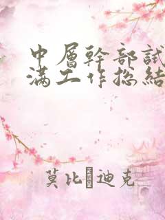 中层干部试用期满工作总结