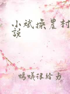 小斌操农村逼小说