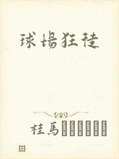 球场狂徒