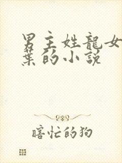 男主姓龙女主姓叶的小说