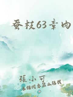蚕枝63章肉