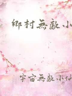 乡村无敌小医仙