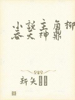 小说主角柳无邪吞天神鼎