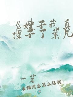 《嫂子我真不是傻子了叶凡》