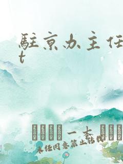 驻京办主任txt