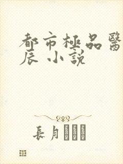 都市极品医神叶辰 小说