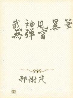 武神风暴笔趣阁无弹窗