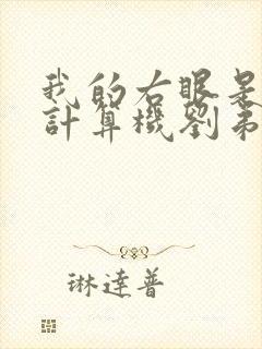 我的右眼是神级计算机刘弟