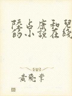 陆占康和儿媳妇的小说在线阅读
