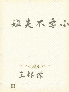 姐夫不要小说