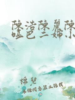 陈浩陈丽陈莹和哑巴二婶小说
