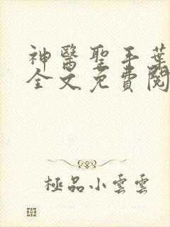 神医圣手叶皓轩全文免费阅读