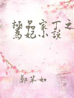 极品家丁之册母为妃小说