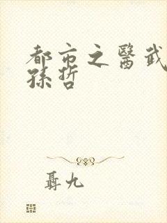 都市之医武风流孙哲