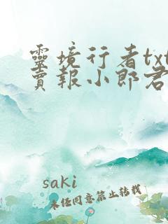 灵境行者txt卖报小郎君
