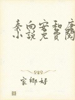 秦向安和唐婉琴小说免费阅读无弹窗