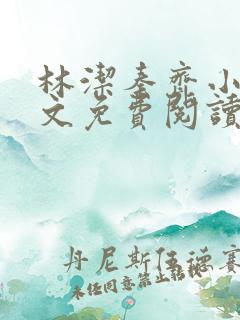 林洁秦齐小说全文免费阅读最新章节