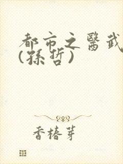 都市之医武双修(孙哲)