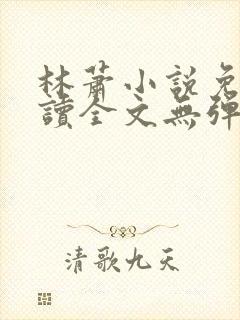 林萧小说免费阅读全文无弹窗
