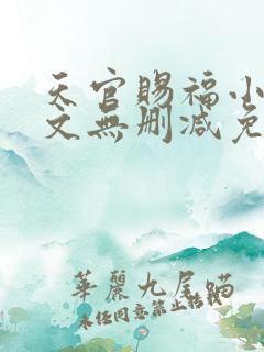 天官赐福小说全文无删减免费阅读