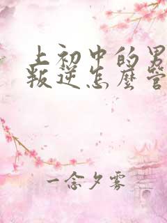 上初中的男孩很叛逆怎么管