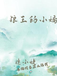 狼王的小娇妻