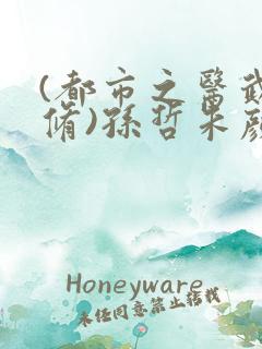 (都市之医武双修)孙哲朱颜