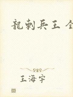 龙刺兵王 全文