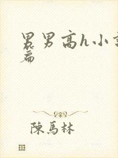 男男高h小说短篇