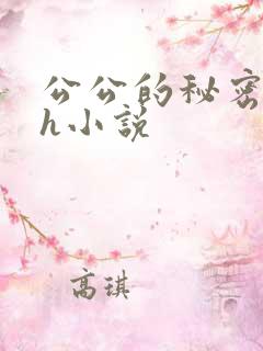 公公的秘密情事h小说