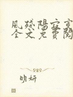 风残阳寂寞山村全文免费阅读