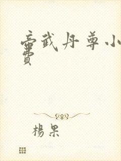 帝武丹尊小说免费