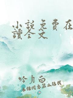 小说免费在线阅读全文