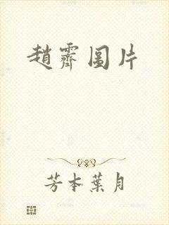 赵霁图片