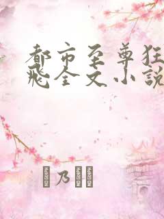 都市至尊狂龙杨飞全文小说
