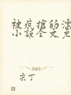 被疯抢的漂亮攻小说全文免费阅读无弹窗