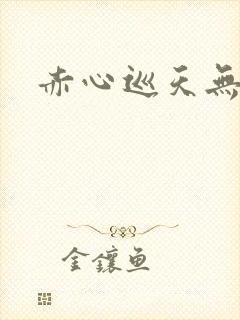 赤心巡天无错