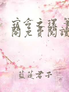 宿命之环 笔趣阁免费阅读无弹窗